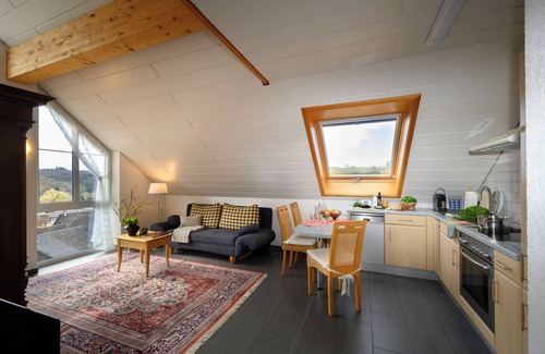 Schienen Apartment | Holiday Apartment "Mara" at Lake Constance with Wi-Fi, Terrace & Garden
