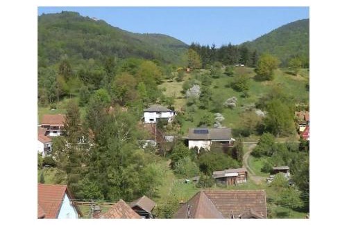 Dernbach Apartment | Holiday apartment Uhu in the house on linden tree