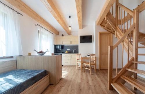 Straz nad Nezarkou House | Holiday Home Bára 1 by Interhome