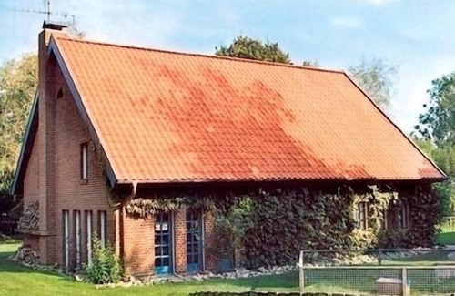 Osterby House | Holiday home for 6 guests with 130m² in Osterbyholz (1292)