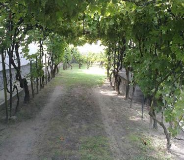 Balatonfenyves House | Holiday home in Balatonfenyves 18415