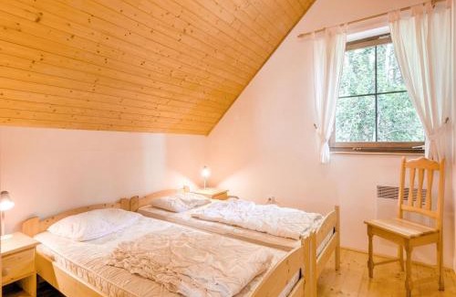 Rudnik u Vrchlabi House | Holiday Home in Javorník near Krkonose Park