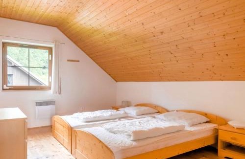 Rudnik u Vrchlabi House | Holiday Home in Javorník near Giant Mountains