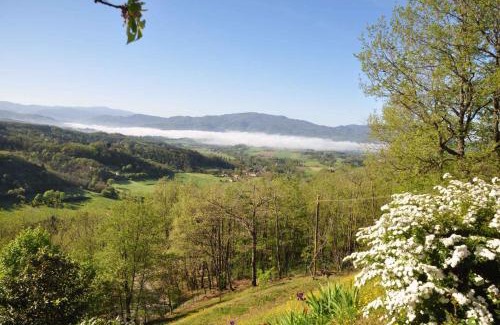 Gattaia House | Holiday home in Vicchio - Toskana 27442