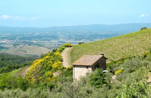 Castellina in Chianti House | Holiday Home Cellole - Valluccia by Interhome