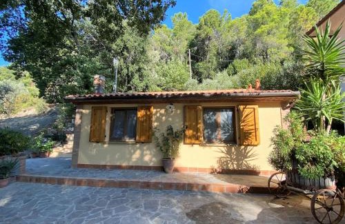 Castellina Marittima House | Holiday Home Home Relax by Interhome