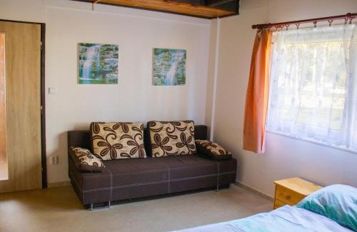 Hradec Kralove House | Holiday Home Kemp Stříbrný rybník-2 by Interhome