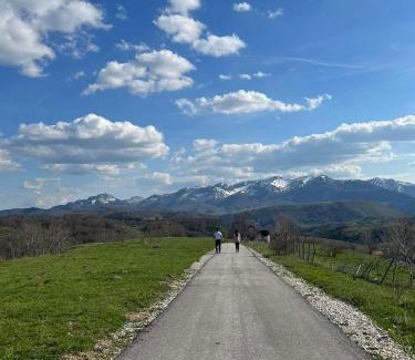 Sarajevo Canton House | Holiday home Mons Albis Bjelašnica