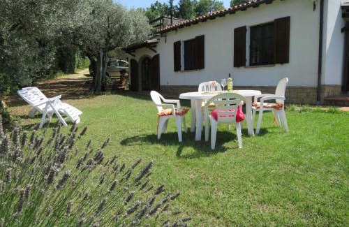 Montescudaio House | Holiday Home Ulivo by Interhome