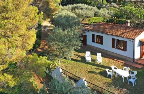 Montescudaio House | Holiday Home Ulivo by Interhome