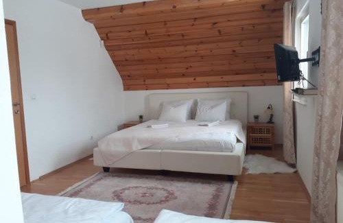Sarajevo Canton House | Holiday home Vila Bjelašnica