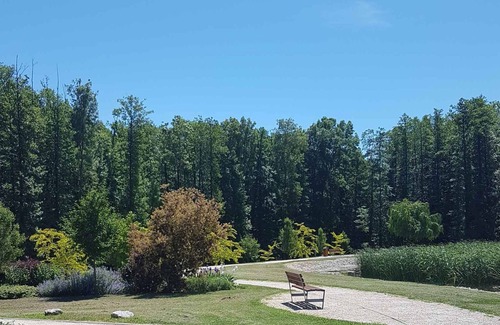 Zalakaros House | Holiday home with air conditioning near the thermal baths