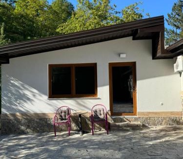 Mali Radic Villa | Holiday Home with Private Pool
