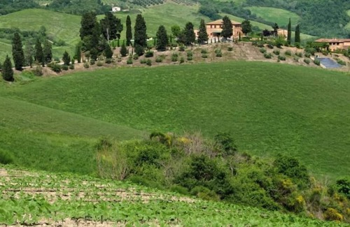 Bollano House | Holiday house Buonconvento for 1 - 4 persons with 2 bedrooms - Holiday home