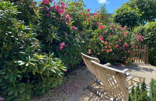 Midlum House | Holiday house Midlum for 1 - 5 persons with 3 bedrooms - Holiday home