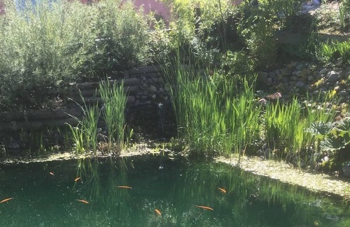 Saint-Boes House | Holiday house Orthez for 1 - 4 persons with 1 bedroom - Holiday house