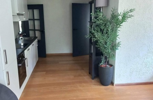 Municipality of De Wolden House | Holiday house Ruinen for 1 - 8 persons with 4 bedrooms - Holiday home