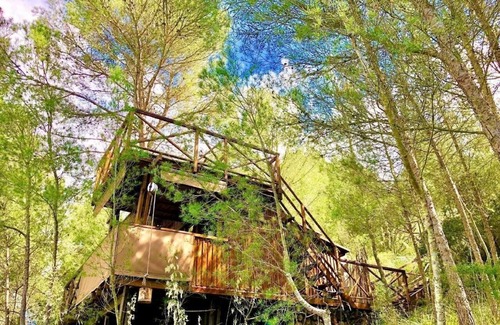 Son Macia House | Holiday house Son Macià for 1 - 2 persons with 1 bedroom - Holiday home