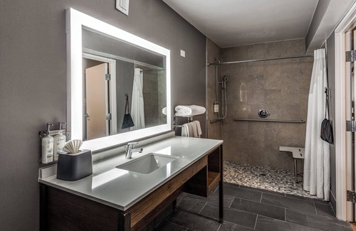 Dallas Hotel | Holiday Inn Dallas Market Ctr Love Field by IHG