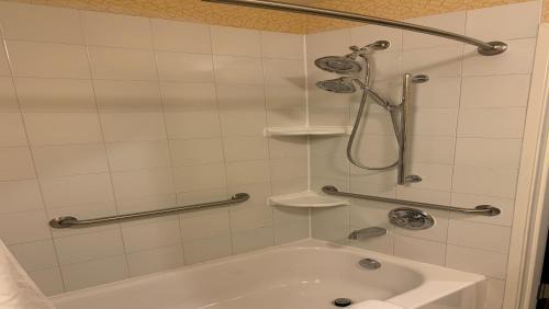 Dimondale Hotel | Holiday Inn Express Hotel & Suites Lansing-Dimondale by IHG