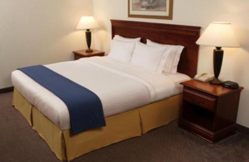Natchez Hotel | Holiday Inn Express Natchez South West by IHG