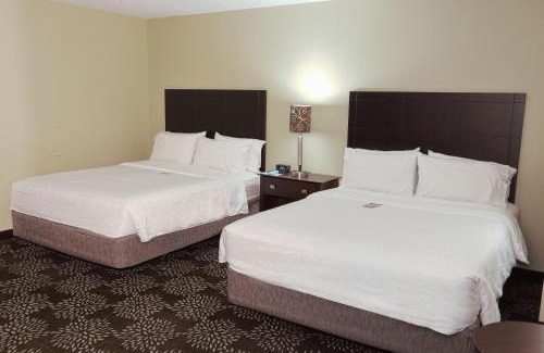 Green Tree Hotel | Holiday Inn Express Pittsburgh West - Greentree by IHG