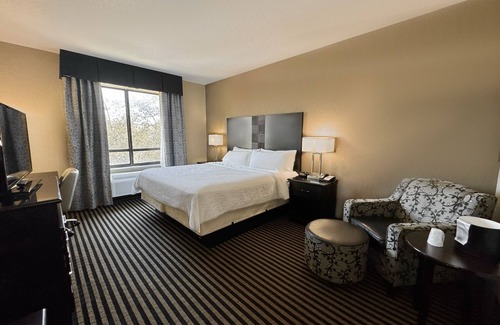 Far North Central Hotel | Holiday Inn San Antonio N - Stone Oak Area by IHG
