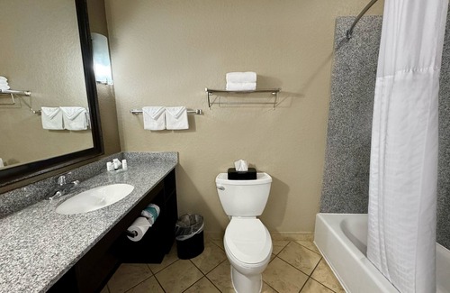 Far North Central Hotel | Holiday Inn San Antonio N - Stone Oak Area by IHG