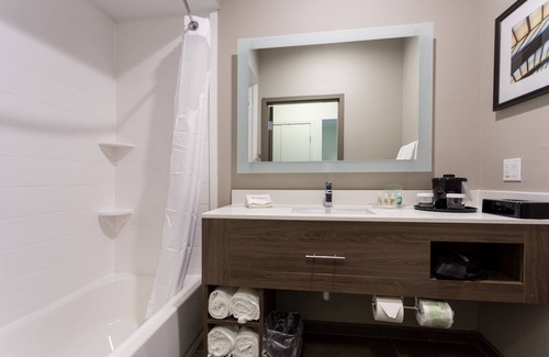 San Marcos Hotel | Holiday Inn San Marcos-Convention CTR Area by IHG