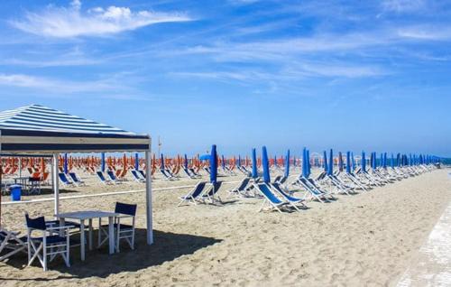 Viareggio Apartment | Holiday Suite Versilia
