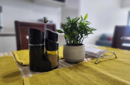 Historical District Apartment | HOM I Estupendo 2D2B Vista al Mar Parking PNM 0625