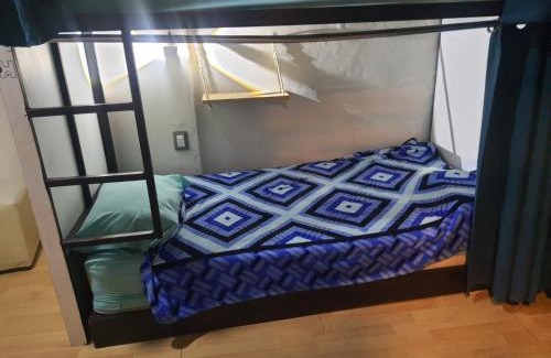 Colonia Roma House | HOM Roma
