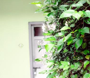 Shimla Apartment | Home away from home , Perfect Family set !