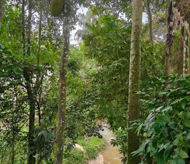 Sulthan Bathery House | Home Stay in Sulthan Bathery