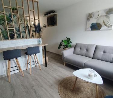 Plantieres Queuleu Apartment | Home Sweet Metz & Place de parking privée