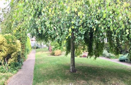Cambridge Apartment | Homely & Cosy 3 Bed Birch Close House with Free Parking, Garden & Sleeps 8