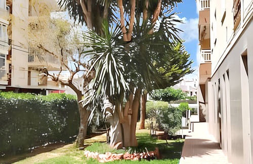 Benicassim Apartment | Homerez - Apartment in Benicàssim