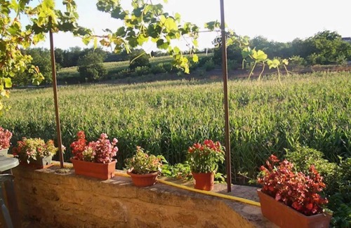 Montfort House | Homerez - Charming House in Vitrac with Garden and Terrace