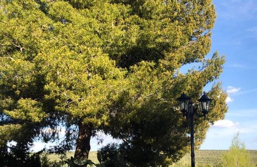 Pozo Alcon House | Homerez - Nice house for 4 ppl. with shared pool and terrace at Pozo Alcón
