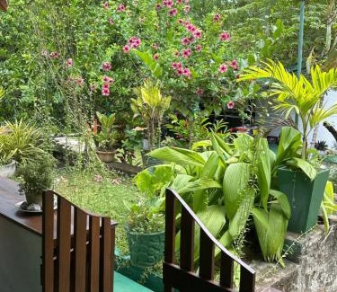 Dambulla House | Honeyland hotel
