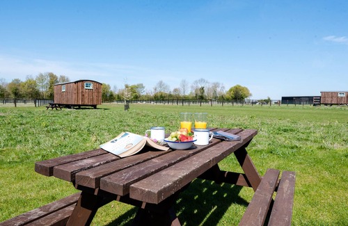 Monk Soham House | Honeysuckle Farm Hut 3 - Suffolk Farm Holidays