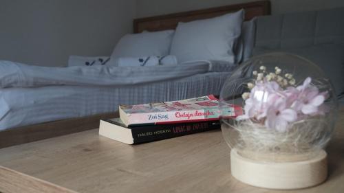 Lisina Apartment | Hop Kop
