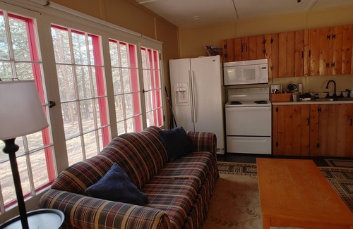 Woodland Park Cabin | Horses and Walking Trails Right Outside Your Door!