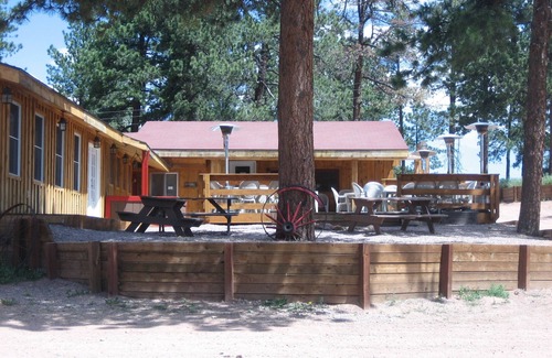 Woodland Park Cabin | Horses and Walking Trails Right Outside Your Door!