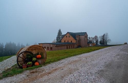 Cerny Dul Ski Chalet | Horská bouda Krakonoš