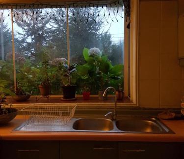 Puerto Varas House | Hortensias del Lago