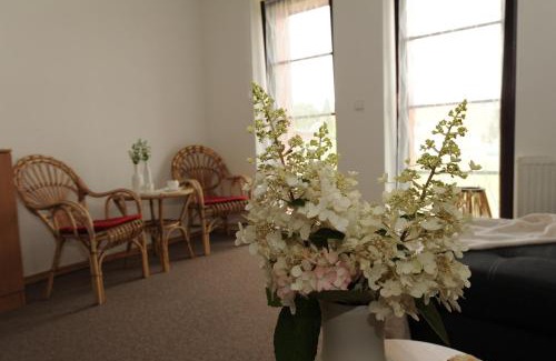 Kasperske Hory Apartment | Hortenzie