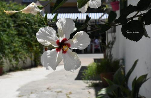 Chipiona House | Hostal Costa de la Luz