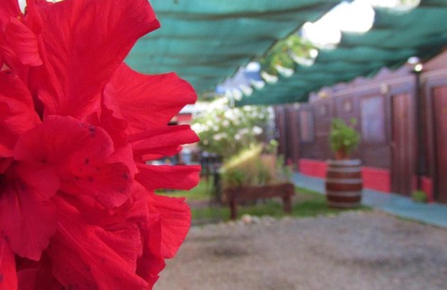 Cafayate Bed & Breakfast | Hostal del Suri