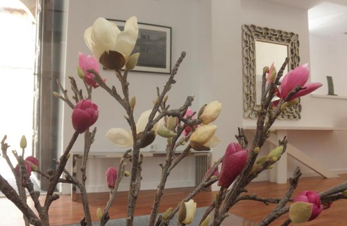 Siguenza House | Hostal Doña Blanca